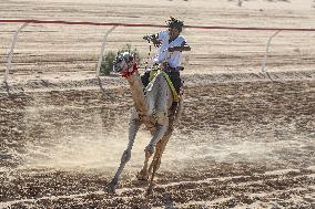 EGYPT-EL ALAMEIN-CAMEL RACE