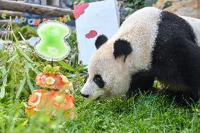 RUSSIA-MOSCOW-CHINA-GIANT PANDA-RU YI-BIRTHDAY