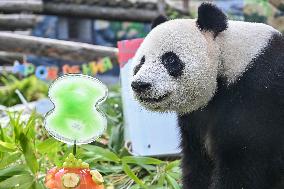 RUSSIA-MOSCOW-CHINA-GIANT PANDA-RU YI-BIRTHDAY