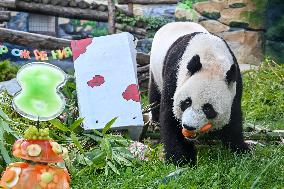 RUSSIA-MOSCOW-CHINA-GIANT PANDA-RU YI-BIRTHDAY