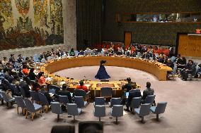 U.N. Security Council emergency meeting