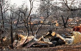 Park Fire Aftermath - California