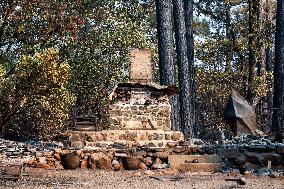 Park Fire Aftermath - California