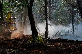 Park Fire Aftermath - California