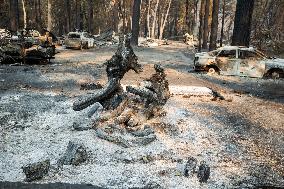 Park Fire Aftermath - California