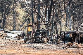 Park Fire Aftermath - California