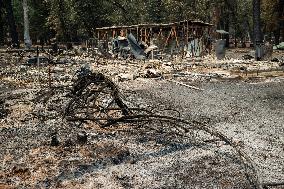 Park Fire Aftermath - California