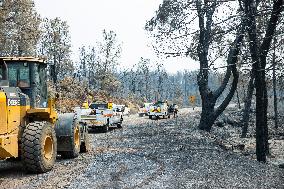 Park Fire Aftermath - California