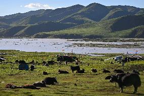 CHINA-QINGHAI-YELLOW RIVER-SCENERY (CN)