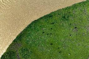 Yellow River Scenery - China