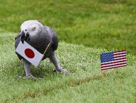 Paris Olympics: Parrot predicts Japan win against U.S.