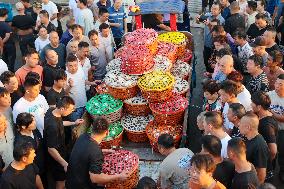 Swimming Crab Harvest in Zhoushan