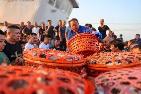 Swimming Crab Harvest in Zhoushan