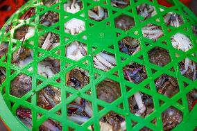 Swimming Crab Harvest in Zhoushan