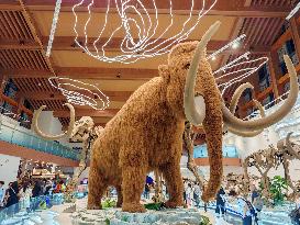 Mammoth Three-dimensional Chromosome