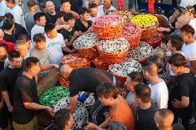 Swimming Crab Harvest in Zhoushan