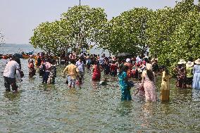 Daily Life At Sambranikodi Island