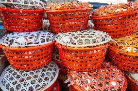 Swimming Crab Harvest in Zhoushan