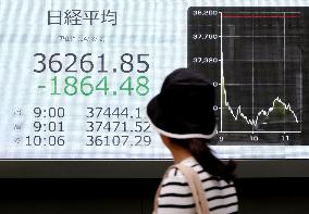 Tokyo stocks plunge