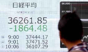 Tokyo stocks plunge