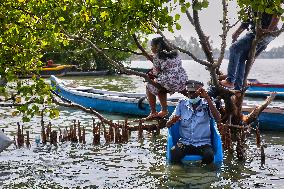 Daily Life At Sambranikodi Island