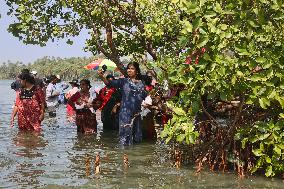 Daily Life At Sambranikodi Island