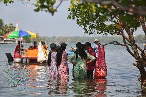 Daily Life At Sambranikodi Island