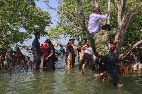 Daily Life At Sambranikodi Island