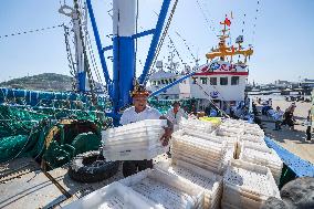 CHINA-ZHEJIANG-ZHOUSHAN-FISHING SEASON (CN)