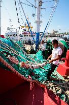 CHINA-ZHEJIANG-ZHOUSHAN-FISHING SEASON (CN)