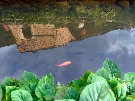 (FujianPano)CHINA-FUJIAN-PUYUAN-ANCIENT VILLAGE-TOURISM (CN)