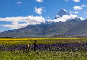 CHINA-XIZANG-MOUNT CHOMOLHARI-SCENERY (CN)