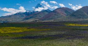 CHINA-XIZANG-MOUNT CHOMOLHARI-SCENERY (CN)