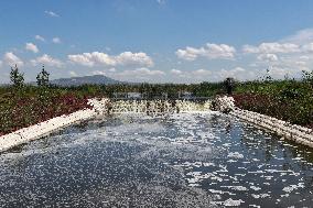 Lake Texcoco Ecological Park