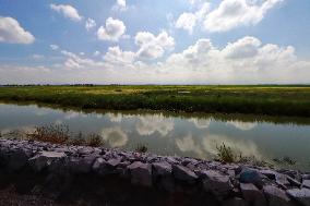 Lake Texcoco Ecological Park