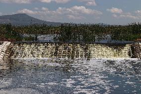 Lake Texcoco Ecological Park