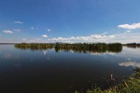 Lake Texcoco Ecological Park