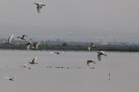 Lake Texcoco Ecological Park