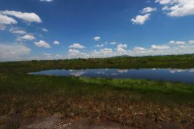 Lake Texcoco Ecological Park