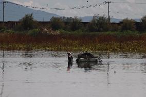 Lake Texcoco Ecological Park