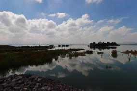 Lake Texcoco Ecological Park