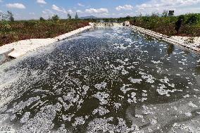 Lake Texcoco Ecological Park