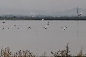 Lake Texcoco Ecological Park