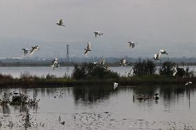 Lake Texcoco Ecological Park