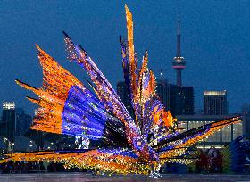 CANADA-TORONTO-CARIBBEAN CARNIVAL-KING AND QUEEN SHOWCASE