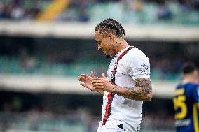 Italian soccer Serie A match - Hellas Verona FC vs AC Milan (portraits archive)