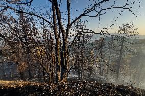 Large Fire In Fumone (FR), 2 Rescue Vehicles Destroyed By Flames