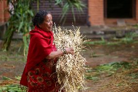 Gathemangal Festival In Nepal