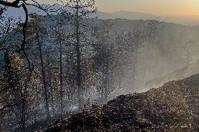 Large Fire In Fumone (FR), 2 Rescue Vehicles Destroyed By Flames