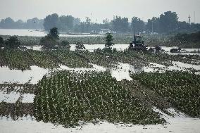 Aftermath of heavy rain in N. Korea